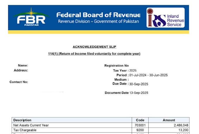 prepare and file tax return accurately and in time